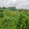 8 ac Land at Redhill thumb 6