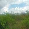 2 Acres Available For Sale in Makindu town, Masalani Area thumb 1