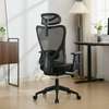 Modern Mesh Ergonomic Executive Swivel Office Chair thumb 3