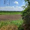 Over 20,000 Acres Are Available For Lease in Tana River thumb 1