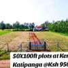50X100ft PLOTS FOR SALE AT KENOL KATIPANGA thumb 0