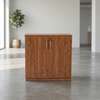 Credenza Cabinet;2-Door Credenza Storage Cabinet thumb 0