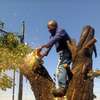 Emergency Handyman Lavington | Roof Plumbing Electrical Fix thumb 4