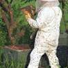 Bee Removal Service |Expert Wasp & Bee Removal | Schedule An Appointment thumb 14