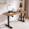Electric Desk;  1.6M Home Office Electric Desk thumb 9