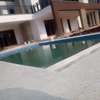 Terrazzo Installation Bondo thumb 4