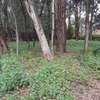 1 ac Land in Karen thumb 7