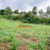 0.05 ha Residential Land at Ondiri thumb 4