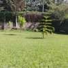 4 Bed House with Garden at Karen thumb 17