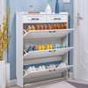 Office Cabinet : Modern Home Shoe Cabinet Storage thumb 1