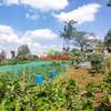 0.05 ha Residential Land at Gikambura thumb 23