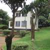 4 Bedrooms House To Let in Mountain View thumb 5
