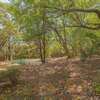 1.5 ac Land at Runda Grove thumb 2