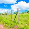 PRIME PLOTS FOR SALE IN A LUSINGETTI GATED COMMUNITY CONCEPT thumb 3