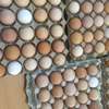 Fertilized Kienyeji eggs thumb 0