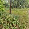 4 ac land for sale in Kilimani thumb 2