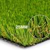 elegant carpet grass thumb 1