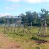 Beautiful One Eighth  Plots in Ongata Rongai thumb 2