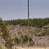 0.25 ac Land at Kipkorgot thumb 2