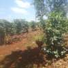 403 ac Land at Near Tatu City Estate thumb 4