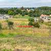 0.076 ha Residential Land in Kamangu thumb 13