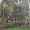 5 Bed House with Garden in Lavington thumb 24
