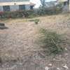 0.125 ac Residential Land in Kitengela thumb 2