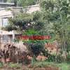 0.05 ha Residential Land in Gikambura thumb 7
