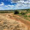 LAND FOR SALE IN TARU ( ALONG MOMBASA NAIROBI HIGHWAY) thumb 2