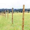 Affordable plots for sale in  Isinya thumb 1