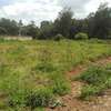 2,024 m² Residential Land in Ngong thumb 2