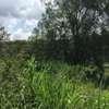 0.54 ac Land in Kiambu Road thumb 5