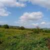 1500 acres along Athi-River for Long-term lease in kibwezi thumb 3