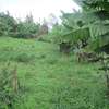 1/4-Acre Plot For Sale in Muthiga thumb 3