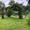 Residential Land in Vipingo thumb 5