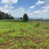 0.05 ha Residential Land in Kikuyu Town thumb 7