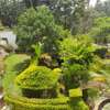 4 Bed House with En Suite at Thigiri thumb 37