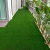Grass carpets _2 thumb 2
