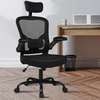 Office Chair; Orthopedic High Back Office Chair thumb 0