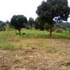 Land at Limuru thumb 0
