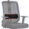 Office Chair: Strong Backrest Support Ergonomic Office Seat thumb 1