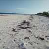 50-Acre Beach Plot For Sale in Bofa/Kilifi thumb 8
