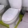 Toilet seat thumb 2