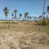 50-Acre Beach Plot For Sale in Bofa/Kilifi thumb 3