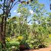 3 Bed House with Garden at Muthaiga thumb 6