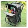 Backpack cooler Chair (3 in 1) thumb 1