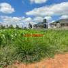 0.1 ha Residential Land at Lusigetti thumb 23