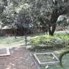 4 Bed House with Garden in Kyuna thumb 26