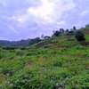 0.5 ac land for sale in Redhill thumb 7