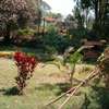 4 Bed House with En Suite at Old Muthaiga thumb 11